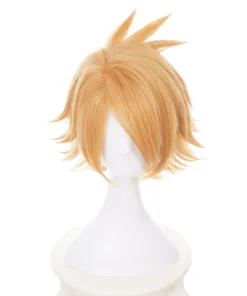 Denki Kaminari Wig