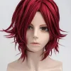 Shanks Wig